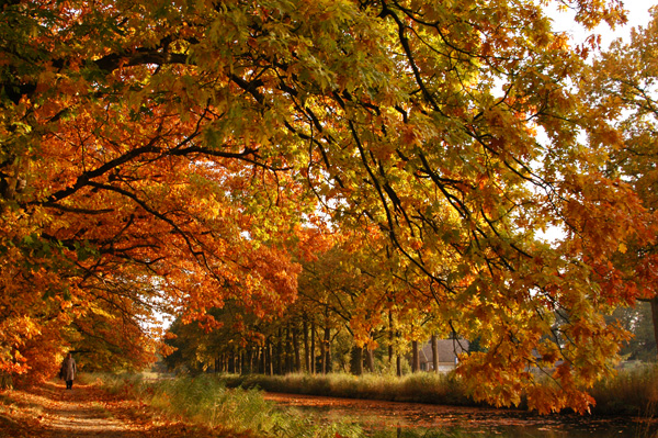 Apeldoorns Kanaal