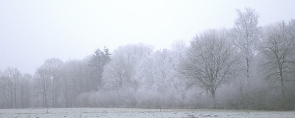 Berijpte bomen, landgoed Woudhuis