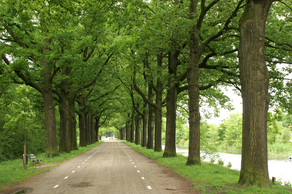 Kanaal Zuid