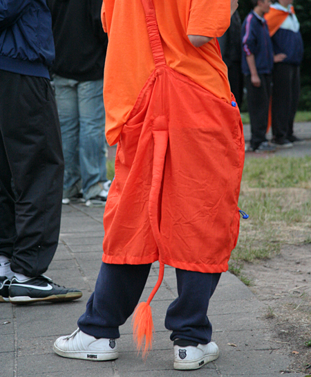 Nederland-Ivoorkust 2-1