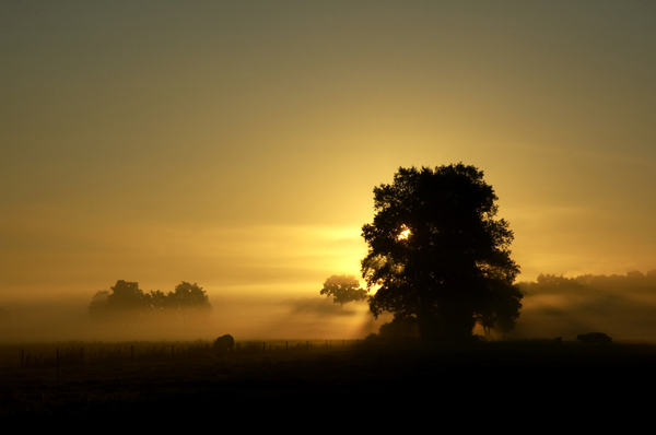 Zonsopkomst in september