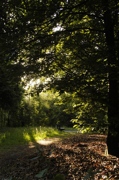 Openkomende zon in de heemtuin, Matenpark