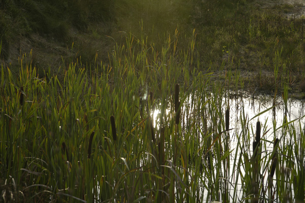 Park Woudhuis