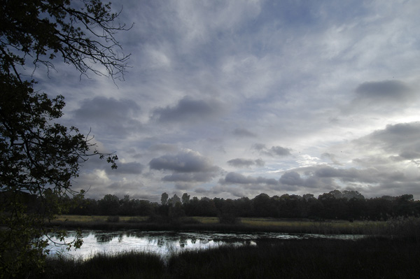 Kootwijkerveen