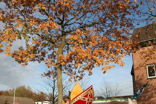 Sinterklaas in Ugchelen