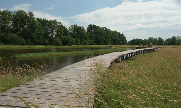 Open dag Beekbergerwoud