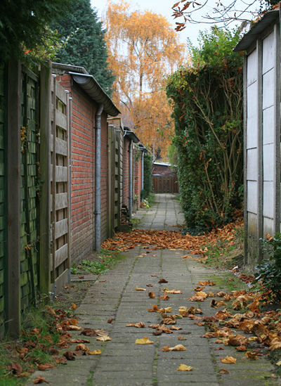 Colijnstraat