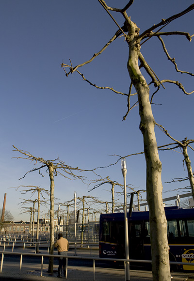 centraal busstation