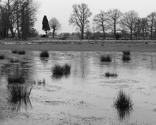 Zuidbroek