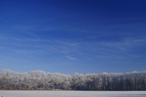 Landgoed Woudhuis (1)