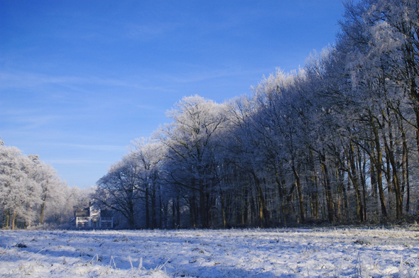 Landgoed Woudhuis (2)