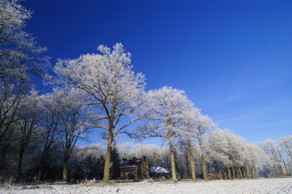 Landgoed Woudhuis (3)