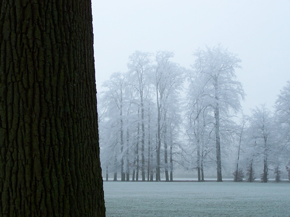 De velden van paleis het Loo