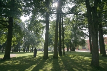 Beekpark met beeld van Antoine Louis des Tombe (1907-1987), burgemeester van Apeldoorn van 1946 tot 1972. gm[[52.21714382804048, 5.9549009799957275]]