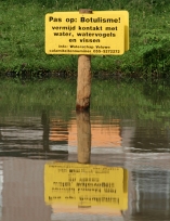 'vergiftiging, veroorzaakt door afscheiding van bacteriÃ«n, vooral in oppervlaktewater, vlees- en visconserven' - foto genomen in Matenpark gm[[52.19463298733677, 6.001871824264526]]