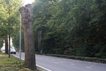 Het oostelijke gedeelte van de Zutphensestraat wordt verbreed. Het lijkt erop dat de voorbereidingen zijn begonnen. gm[[52.209753245463325, 6.008727550506592]]