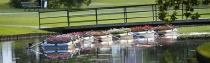 Bootjes met geraniums in de vijver van het Apeldoornse Oranjepark van kunstenares Anita Amptmeijer. De bootjes maken deel uit van de prelude, een voorproefje op het tuin- en landschapevenement TriÃ«nnale. (bron: www.destentor.nl) gm[[52.21829906037107, 5.96220999956131]]