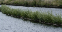 Op het kanaal groeit een 'wilgenslang' van 60 meter. Duizenden wilgenstokjes zijn in onderling verbonden drijvende eilanden gestoken. De uitgelopen takjes vormen deze zomer een lang groen bewegend lint in het kanaal. Dit kunstwerp is door Sjoerd Buisman ontworpen in het kader van de 