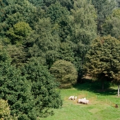 In het kader van de Triennale is er in het Matenpark een kunstwerk te zien van Guido Nieuwendijk, Apeldoorns beeldend kunstenaar. Het kunstwerk ontstaat door grazende schapen en heet Bad Fencing, Good Fencing. De Woonmensen sponsort en hier is het logo van de wooncorporatie te zien. Een hoogwerker (ca 25m) kan worden betreden voor een goed overzicht over het kunstwerk. gm[[52.19728819952925, 5.995115339756012]]
