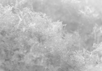 Macro-opname van sneeuw. gm[[52.17428699147555, 5.855884552001953]]