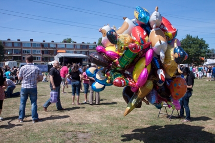 Zuiderpark. Braderie en popfestival. gm[[52.19508676858302, 5.972485542297363]]